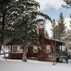 NAMU CABIN • Modern Chic Design • Spa & Gameroom