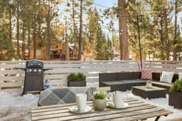 Lucky Bear|Perfect for Pets & Fam, Hot Tb
