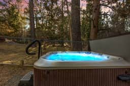 Ritz-Craterton|Spa, BBQ, Game Room, EV, Pups
