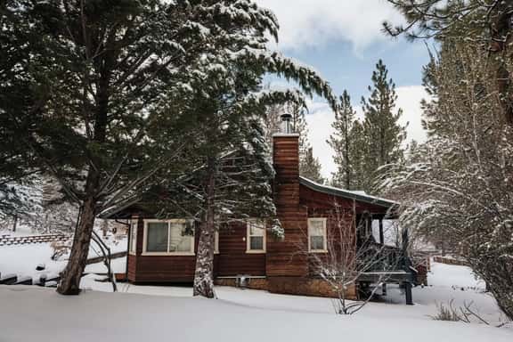 NAMU CABIN • Modern Chic Design • Spa & Gameroom - Image 1