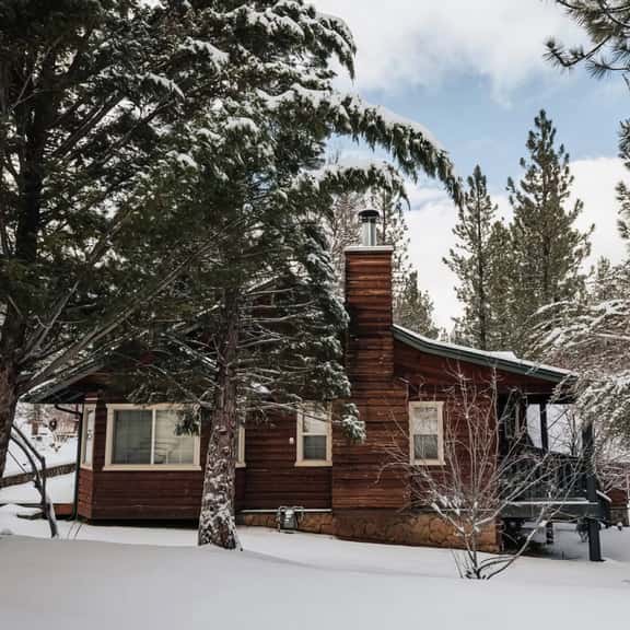 NAMU CABIN • Modern Chic Design • Spa & Gameroom - Image 1