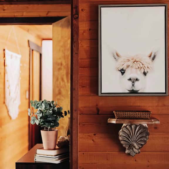 TOP RATED Boho Mountain Retreat: Pet-Friendly! - Image 1