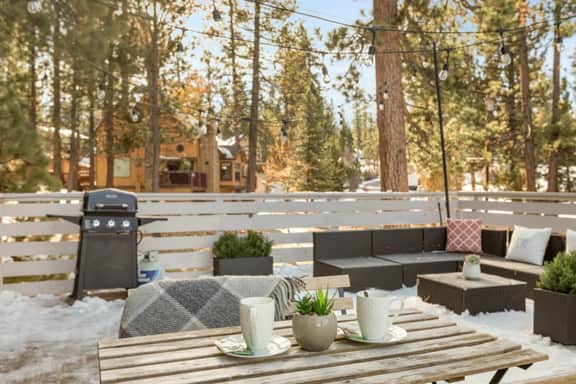 Lucky Bear|Perfect for Pets & Fam, Hot Tb