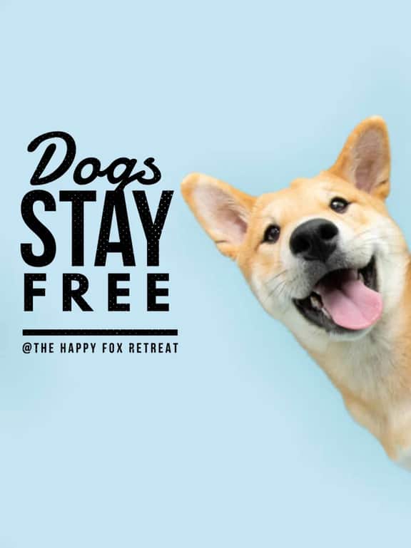 We love dogs! Ice Cold A/C - Hot Tub - Karaoke